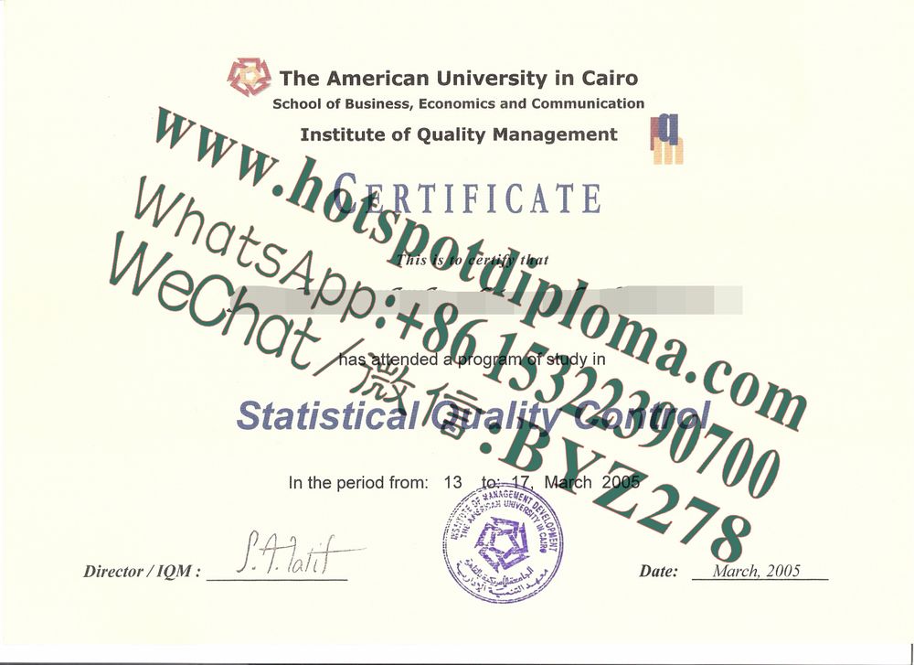 Buy fake Cairo University Diploma