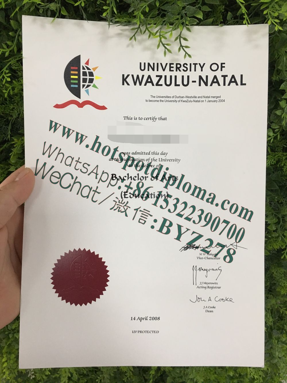 Buy fake University of Natal Diploma