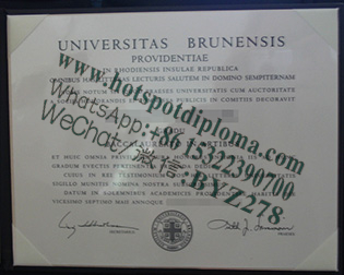 Fake Brunensis University Diploma makers