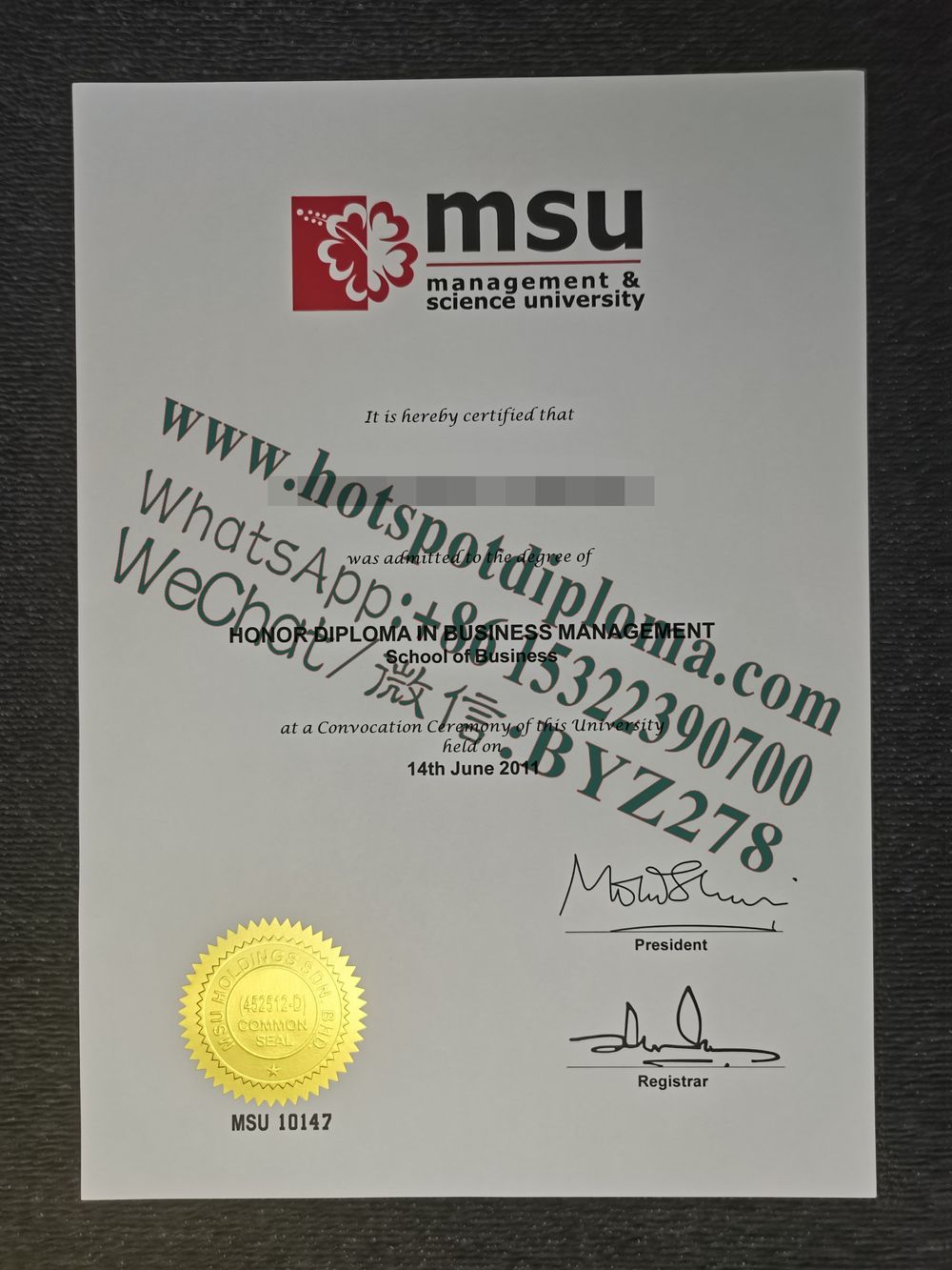 Fake Michigan State University Diploma makers