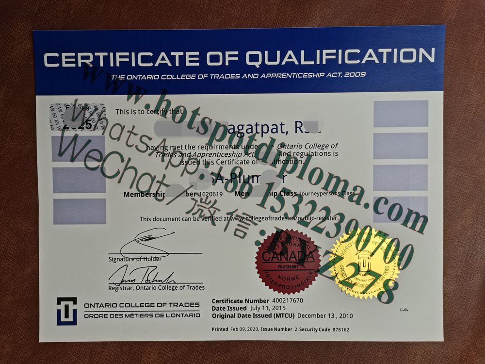 Fake Ontario Trade Institute Certificate sample certificate