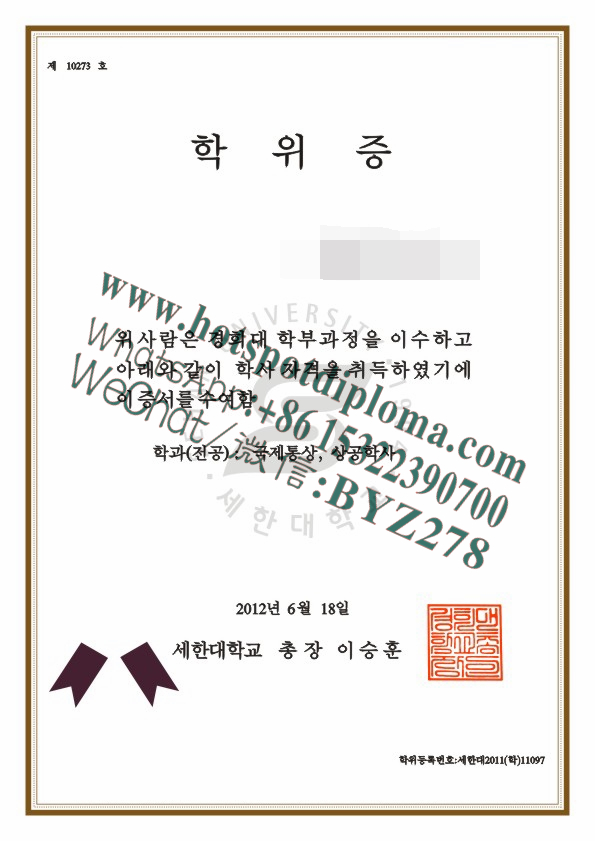 Fake Sehan University Diploma degree