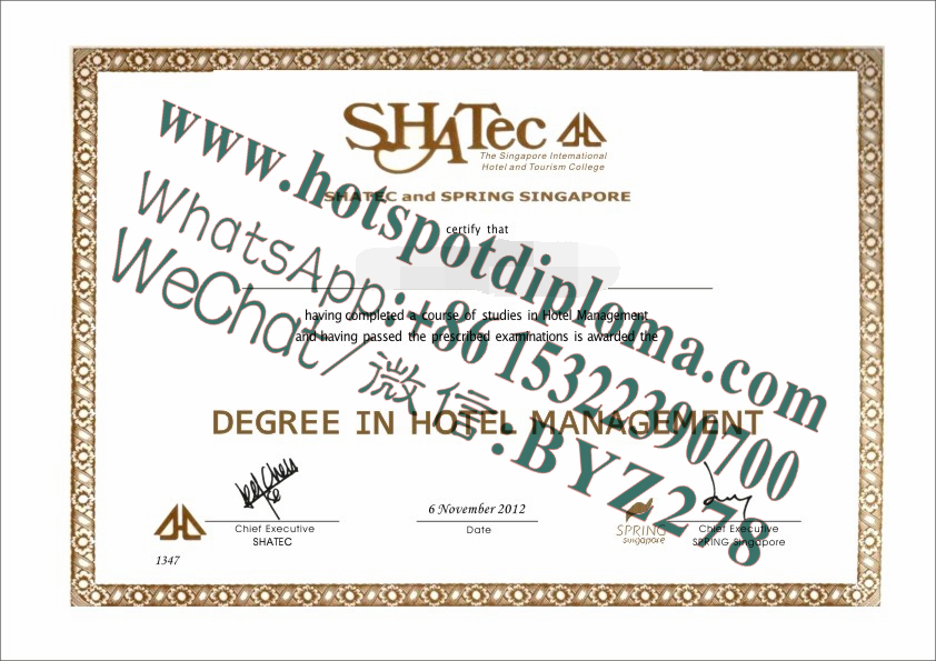 Fake Shatec and spring singapore Diploma sample transcript