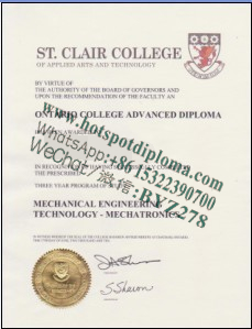 Fake St Clair University Diploma certificate