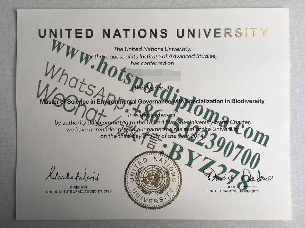 Fake United Nations University Diploma makers