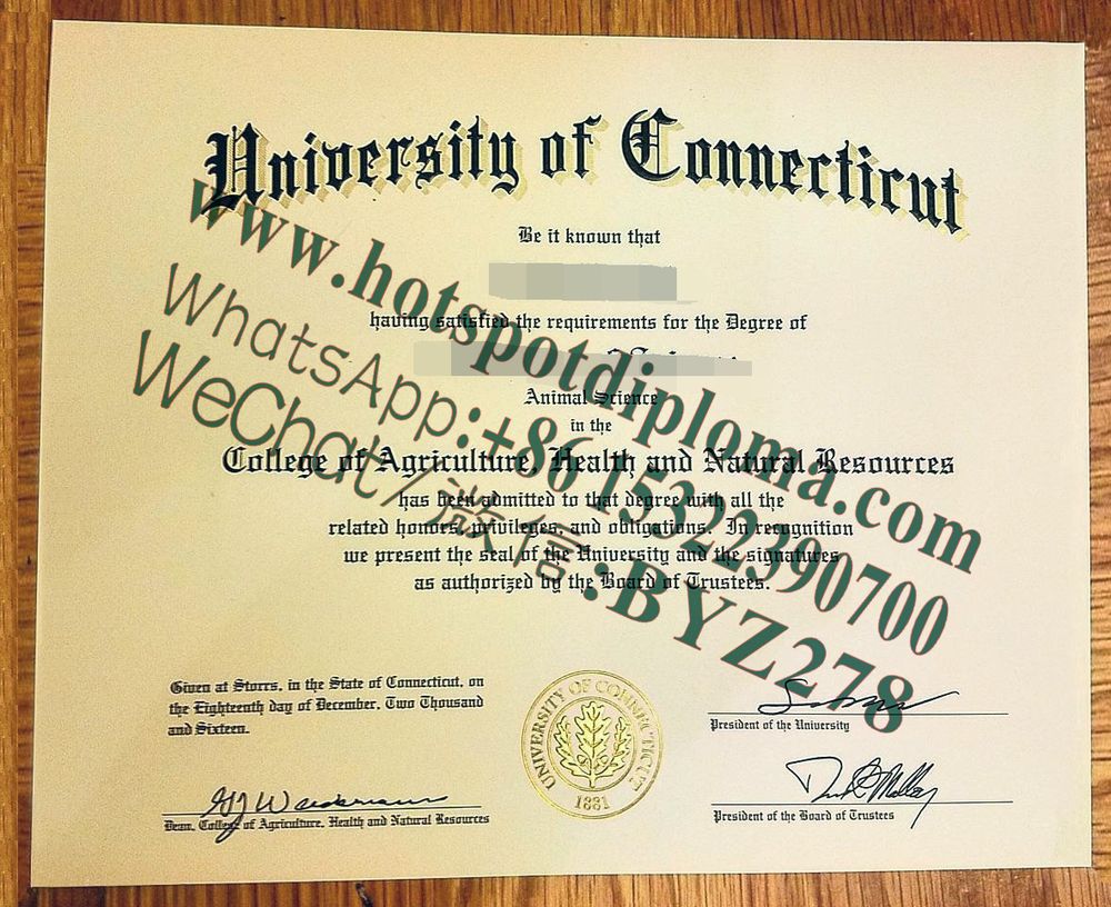 Fake University of Connecticut diploma makers