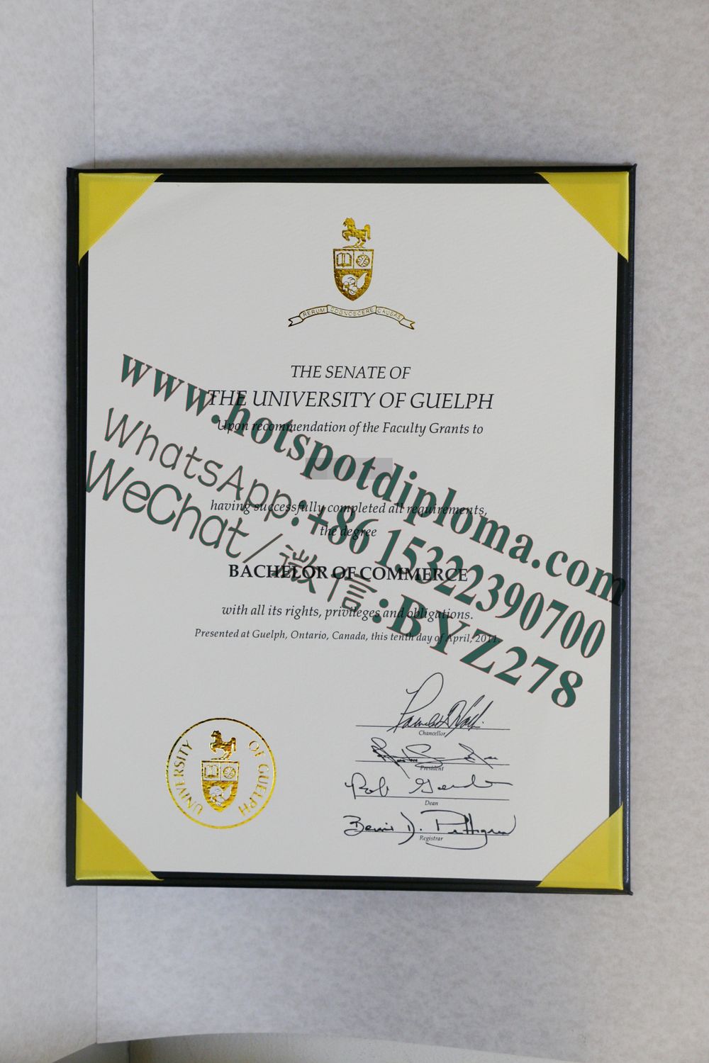 Fake University of Guelph Diploma certificate