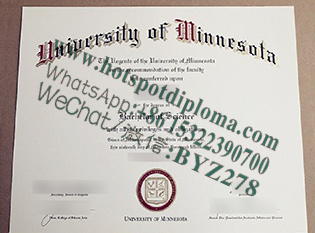 Fake University of Minnesota diploma makers