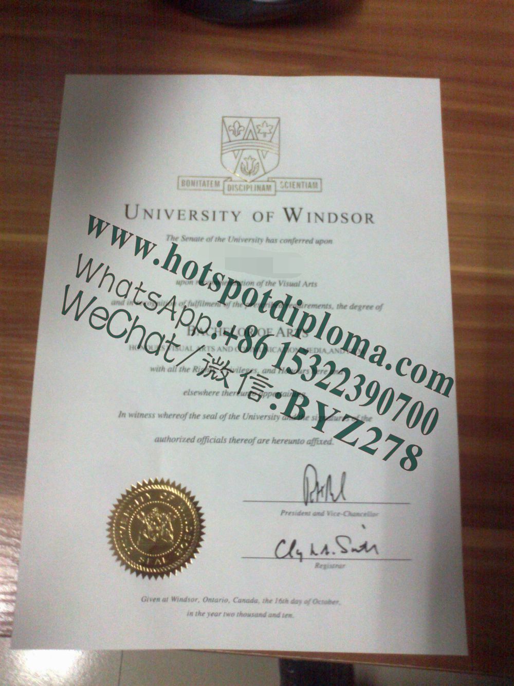 Fake University of Windsor diploma certificate