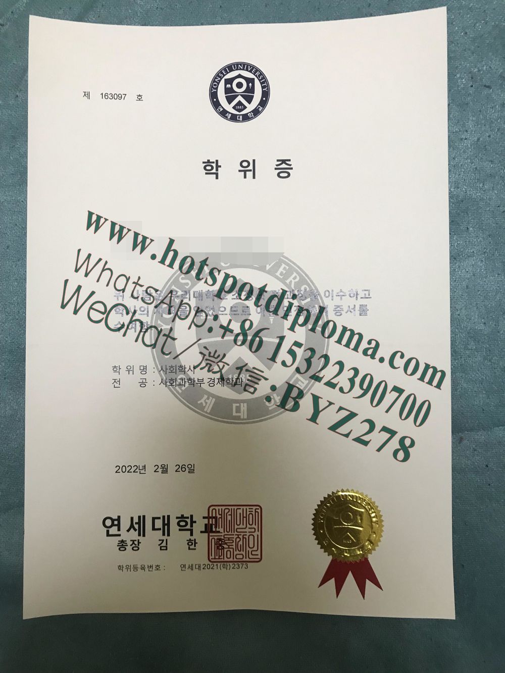 Fake Yonsei University Diploma degree