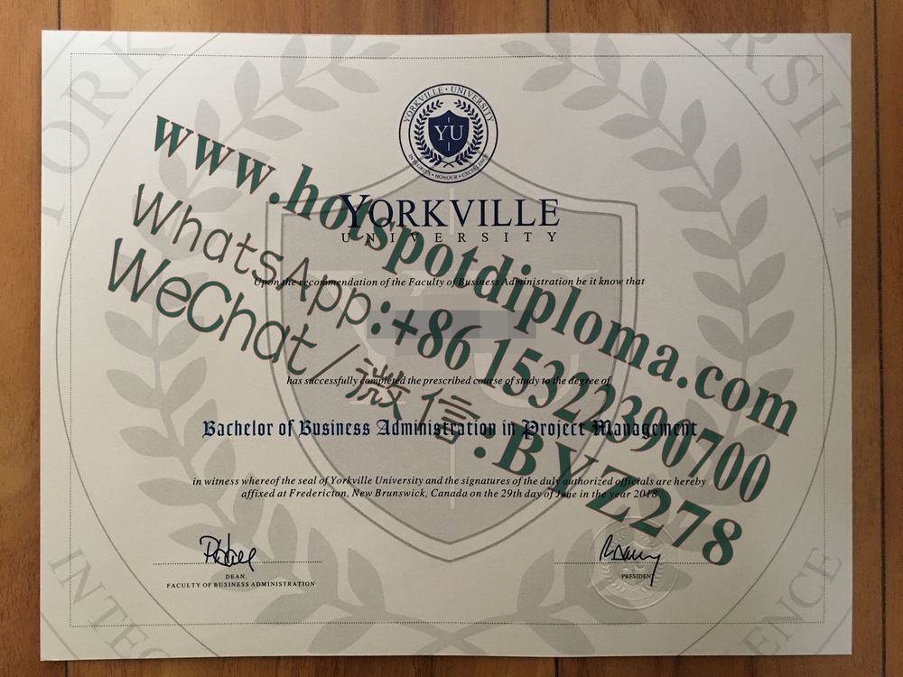 Fake Yorkville University Diploma certificate