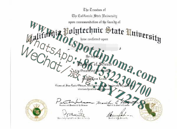Fake california polytechnic state university Diploma makers