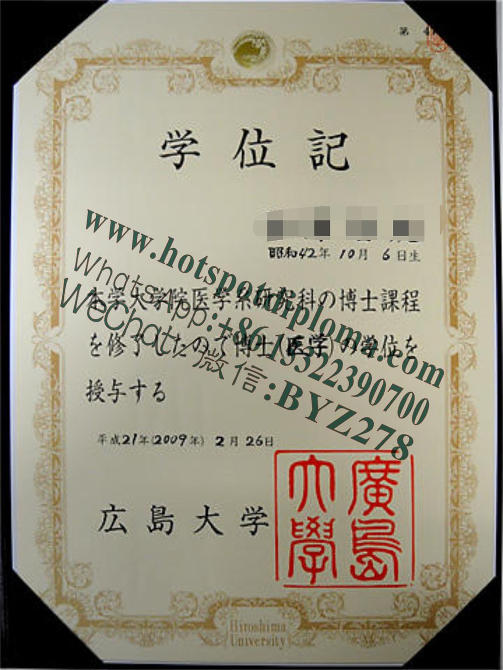 Make fake Hiroshima University Diploma sample