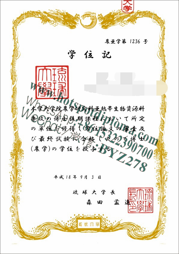 Make fake University of the Ryukyus Diploma